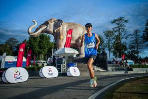 BIB: 
                            <button type="button" onclick="openModal(26541590)" class="btn btn-primary btn-sm float-right btn-popup" data-toggle="modal" data-target=".modal-high-quality">
                        <i class="fas fa-shopping-cart"></i> Add to Cart
                    </button>
                                            <button type="button" onclick="isThisMe(26541590, true)" class="btn btn-success btn-sm float-right btn-popup btn-isme hidden" data-toggle="tooltip" data-placement="bottom" title="นี่คือรูปของคุณใช่ไหม คลิกที่นี่เพื่อเอาเข้าอัลบั้ม">
                        <i class="fas fa-plus"></i> Add to album
                    </button>
                    <button type="button" onclick="isThisMe(26541590, false)" class="btn btn-warning btn-sm float-right btn-popup btn-isnotme hidden">
                        <i class="fas fa-ban"></i> Remove from album
                    </button>